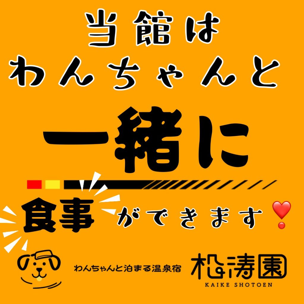 当館はわんちゃんと一緒に食事ができます🐶