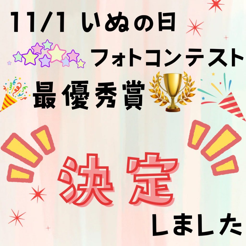 11/1犬の日フォトコンテスト「最優秀賞」決定！