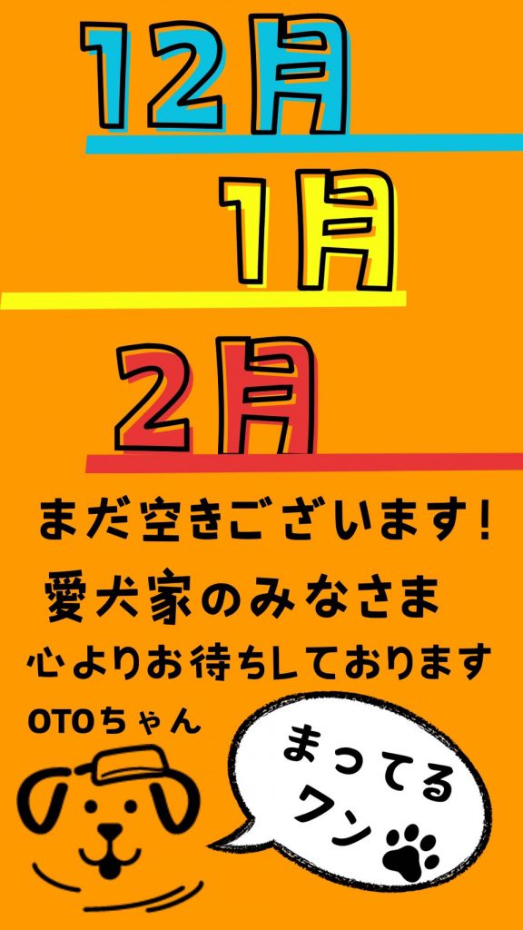 12月1月2月まだ空きございます！